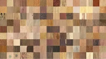 Fig 1 144 of the wood texture samples that form the basis for this work The - фото 155