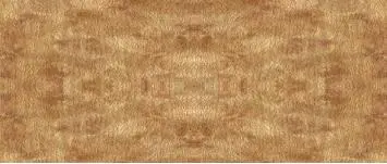 Fig 9 Ornamented birds eye maple 43 Mapping Encoding of a lot of - фото 175