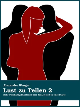 Alexander Wenger Lust zu Teilen 2 обложка книги