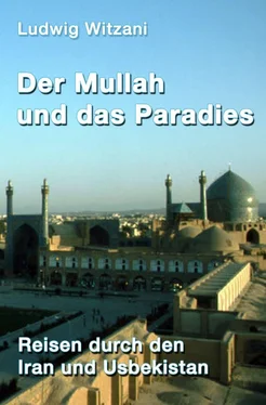 Ludwig Witzani Der Mullah und das Paradies обложка книги