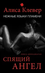 Алиса Клевер - Спящий ангел