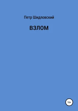 Петр Шидловский Взлом обложка книги