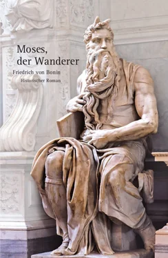 Friedrich von Bonin Moses, der Wanderer обложка книги