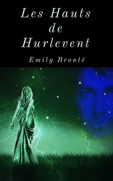 Emily Bronte Les Hauts de Hurlevent (Édition intégrale) обложка книги