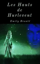 Emily Bronte - Les Hauts de Hurlevent (Édition intégrale)