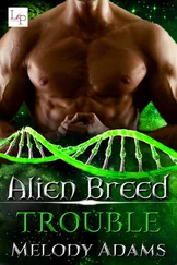 Melody Adams - Trouble