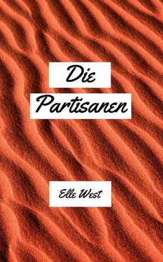 Elle West Die Partisanen обложка книги