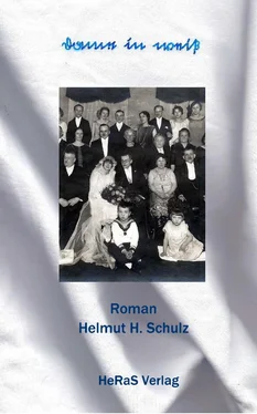 Helmut H. Schulz Dame in Weiß обложка книги