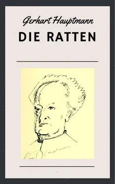 Gerhart Hauptmann Gerhart Hauptmann: Die Ratten обложка книги