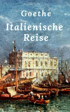 Johann Wolfgang von Goethe Goethe: Italienische Reise обложка книги