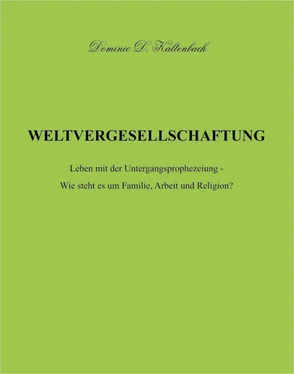 Dominic D. Kaltenbach WELTVERGESELLSCHAFTUNG обложка книги
