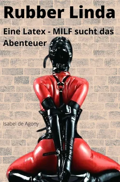 Isabel de Agony Rubber Linda обложка книги