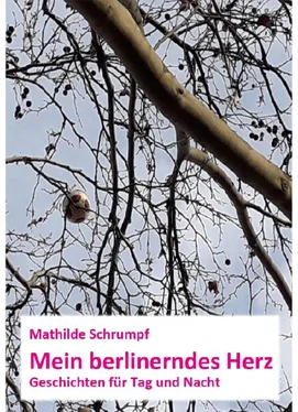 Mathilde Schrumpf Mein berlinerndes Herz обложка книги