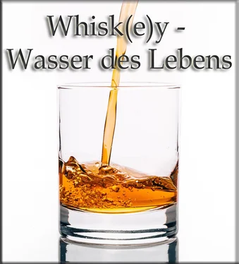 Thomas Meinen Whisk(e)y - Wasser des Lebens обложка книги