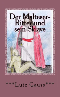 Lutz Gauss Der Malteser-Ritter und sein Sklave обложка книги