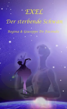 Regina + Giuseppe De Facendis EXEL обложка книги