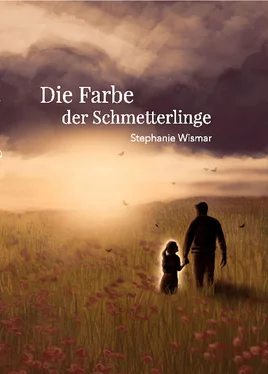 Stephanie Wismar Die Farben der Schmetterlinge обложка книги