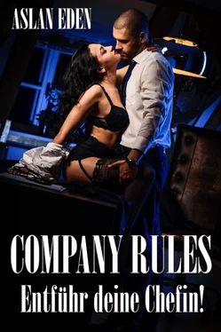 Aslan Eden Company Rules - Entführ deine Chefin! обложка книги
