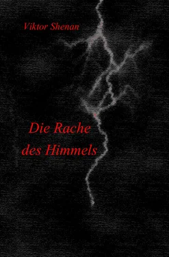 Viktor Shenan Die Rache des Himmels обложка книги