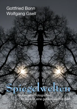 Gottfried Bonn Spiegelwelten обложка книги