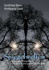 Gottfried Bonn - Spiegelwelten