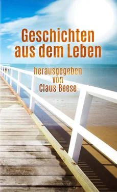 Claus Beese Geschichten aus dem Leben обложка книги