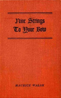 Maurice Walsh Nine Strings to your Bow обложка книги