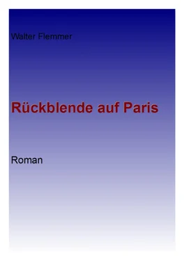 Walter Flemmer Rückblende auf Paris обложка книги
