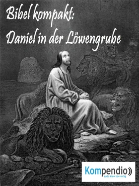 Alessandro Dallmann Daniel in der Löwengrube обложка книги