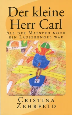 Cristina Zehrfeld Der kleine Herr Carl обложка книги