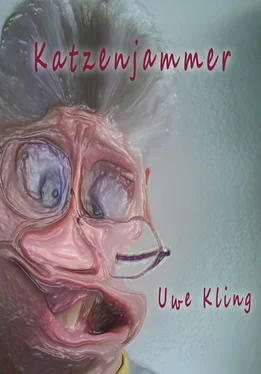 Uwe Kling Katzenjammer обложка книги