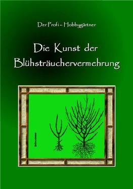 Andreas Spira Die Kunst der Blühstrauchvermehrung обложка книги