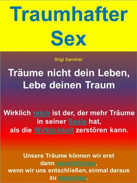 Brigi Sandner Traumhafter Sex обложка книги