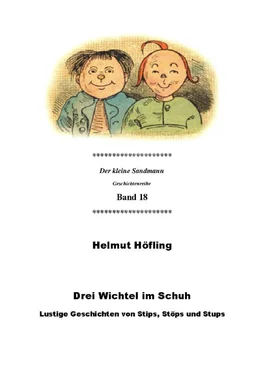 Helmut Höfling Drei Wichtel im Schuh обложка книги