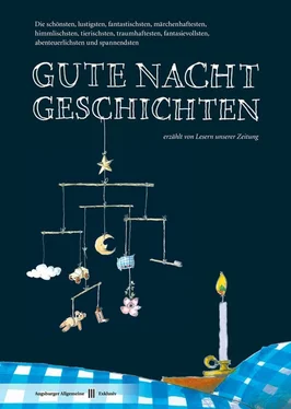 Augsburger Allgemeine Gute Nacht Geschichten обложка книги