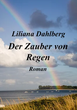 Liliana Dahlberg Der Zauber von Regen обложка книги