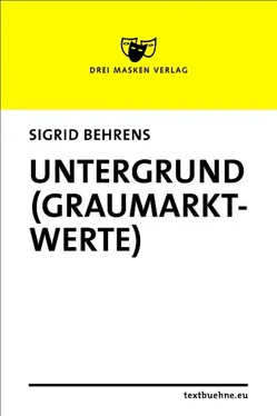 Sigrid Behrens Untergrund (Graumarktwerte) обложка книги