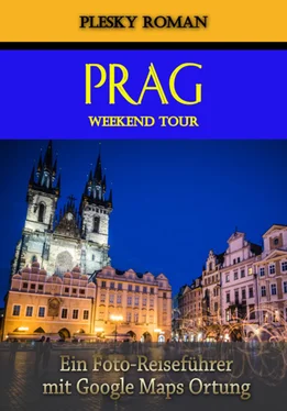 Roman Plesky Prag Weekend Tour обложка книги