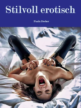 Paula Dreher Stilvoll erotisch обложка книги