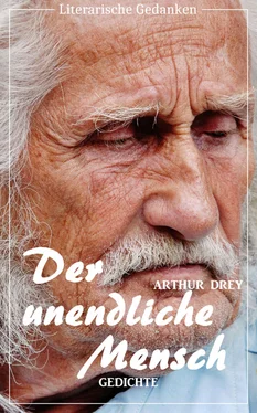 Arthur Drey Der unendliche Mensch (Arthur Drey) (Literary Thoughts Edition) обложка книги