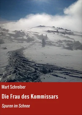 Mart Schreiber Die Frau des Kommissars обложка книги