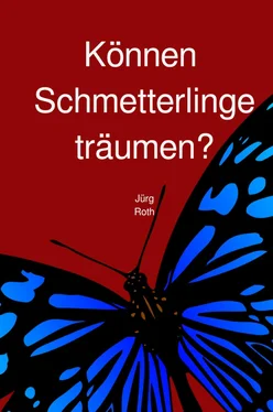 Jürg Roth Können Schmetterlinge träumen? обложка книги