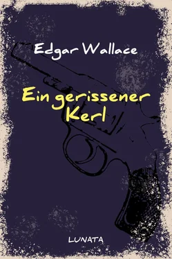 Edgar Wallace Ein gerissener Kerl обложка книги