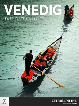 ZEIT ONLINE Venedig обложка книги