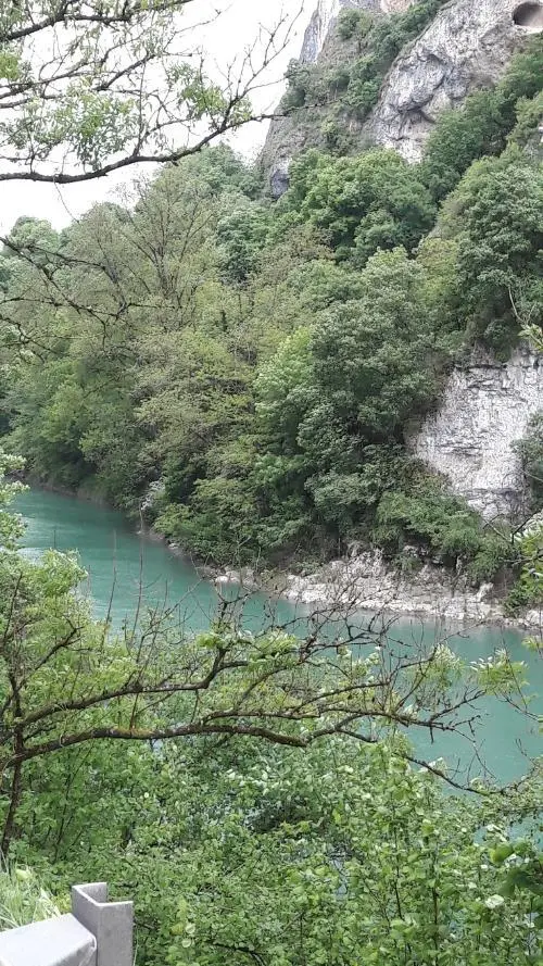 Bild Die Rhône als wilder Bergfluss in der Nähe des Lac du Bourget Der - фото 4