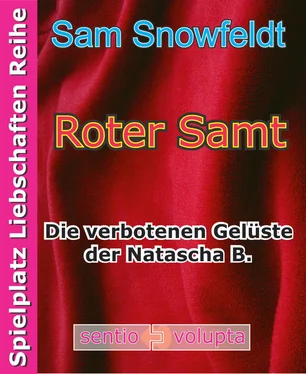 Sam Snowfeldt Roter Samt обложка книги