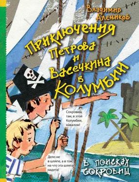 Владимир Алеников Приключения Петрова и Васечкина в Колумбии. В поисках сокровищ обложка книги