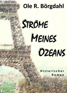 Ole R. Börgdahl Ströme meines Ozeans обложка книги