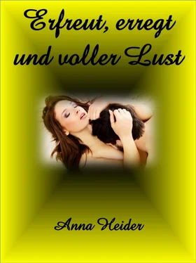 Anna Heider Erfreut, erregt und voller Lust обложка книги