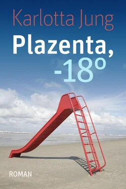 Karlotta Jung Plazenta, -18° обложка книги